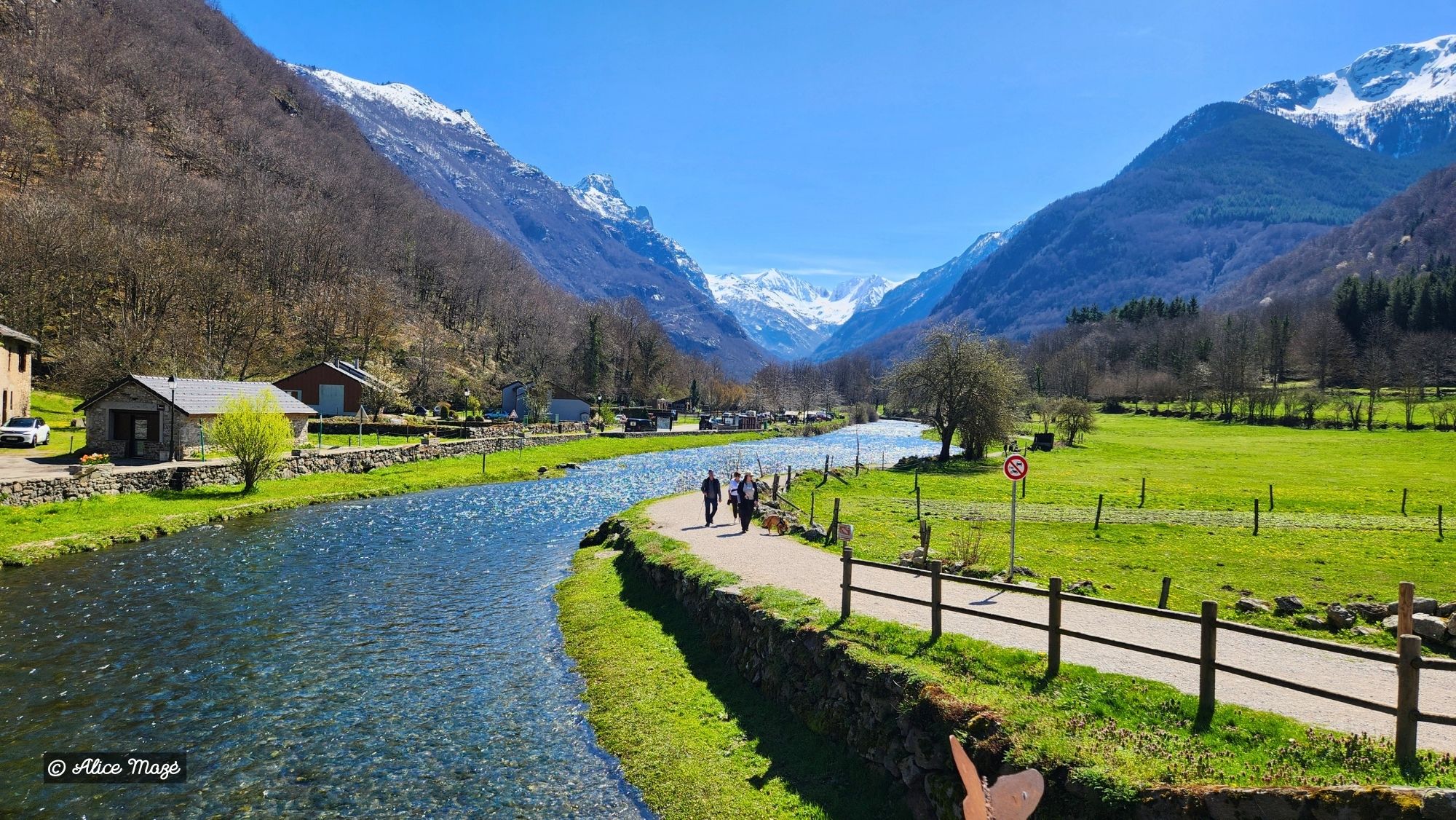 Pyrenees-2026-3.jpg Pyrenees-2026-3.jpg
