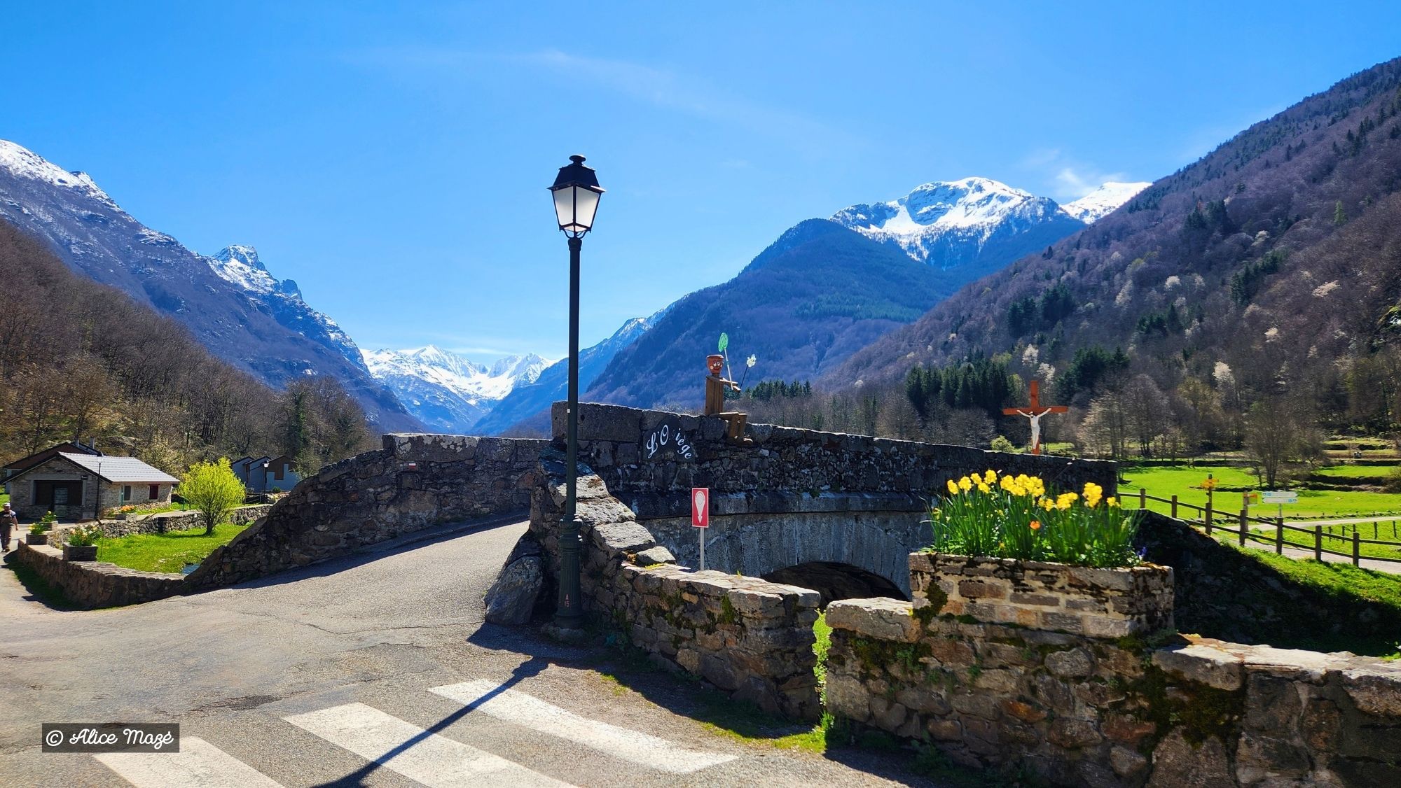 Pyrenees-2026-4.jpg
