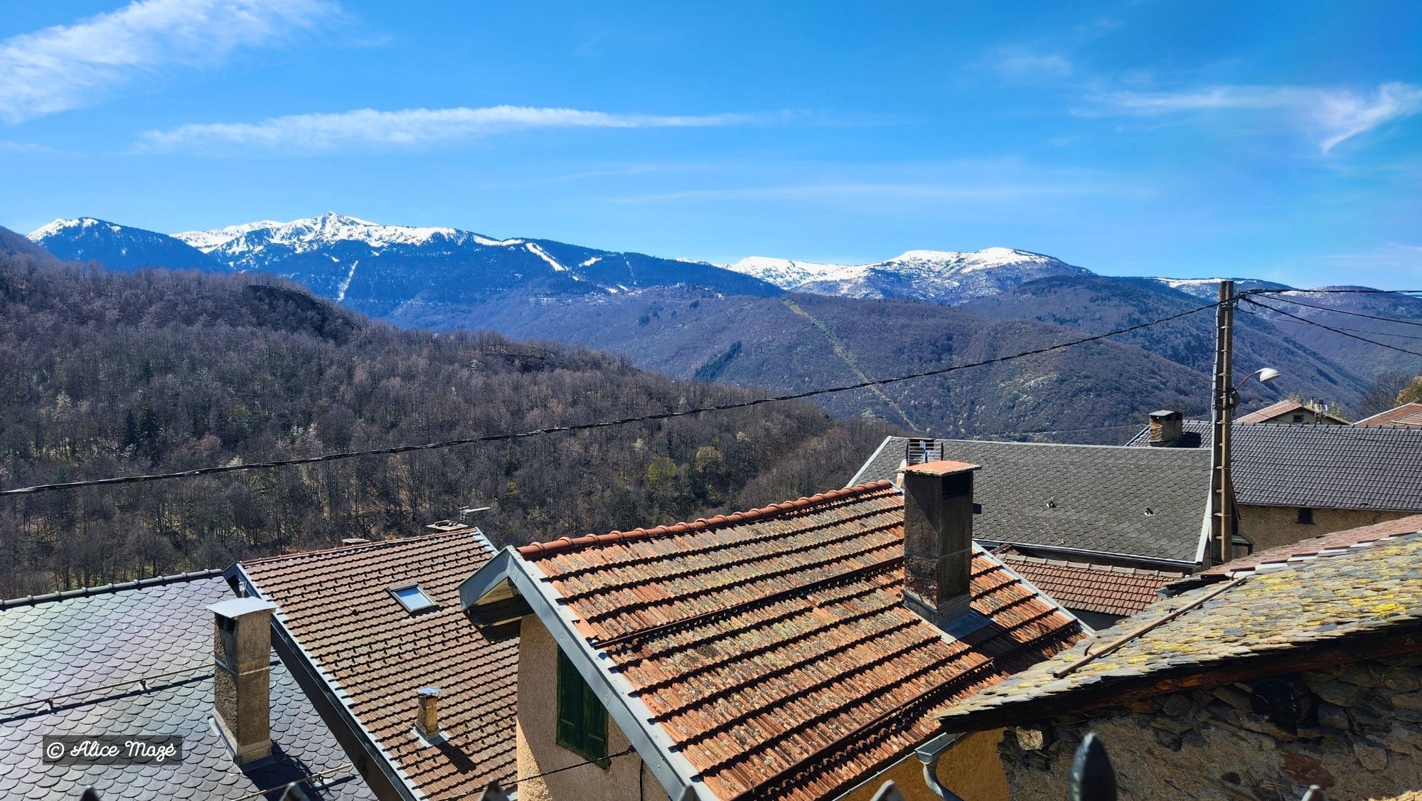 Pyrenees-2026-5.jpg Pyrenees-2026-5.jpg