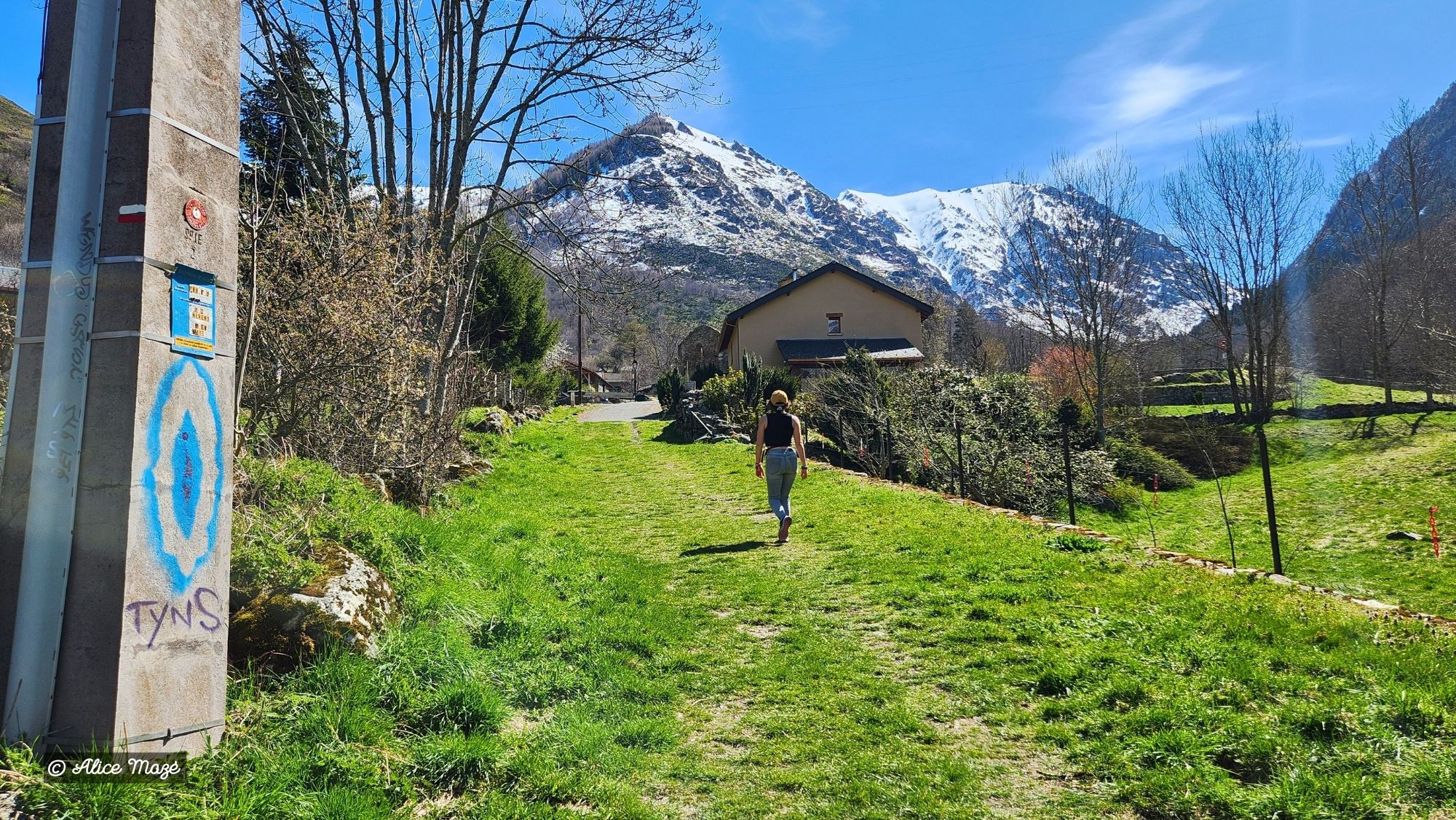 Pyrenees-2026-7.jpg Pyrenees-2026-7.jpg