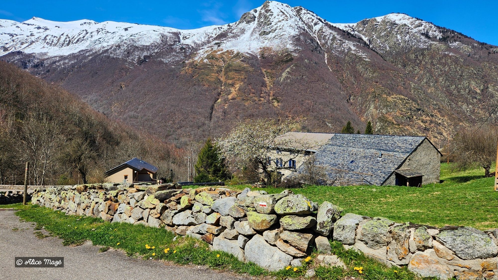Pyrenees-2026-8.jpg Pyrenees-2026-8.jpg