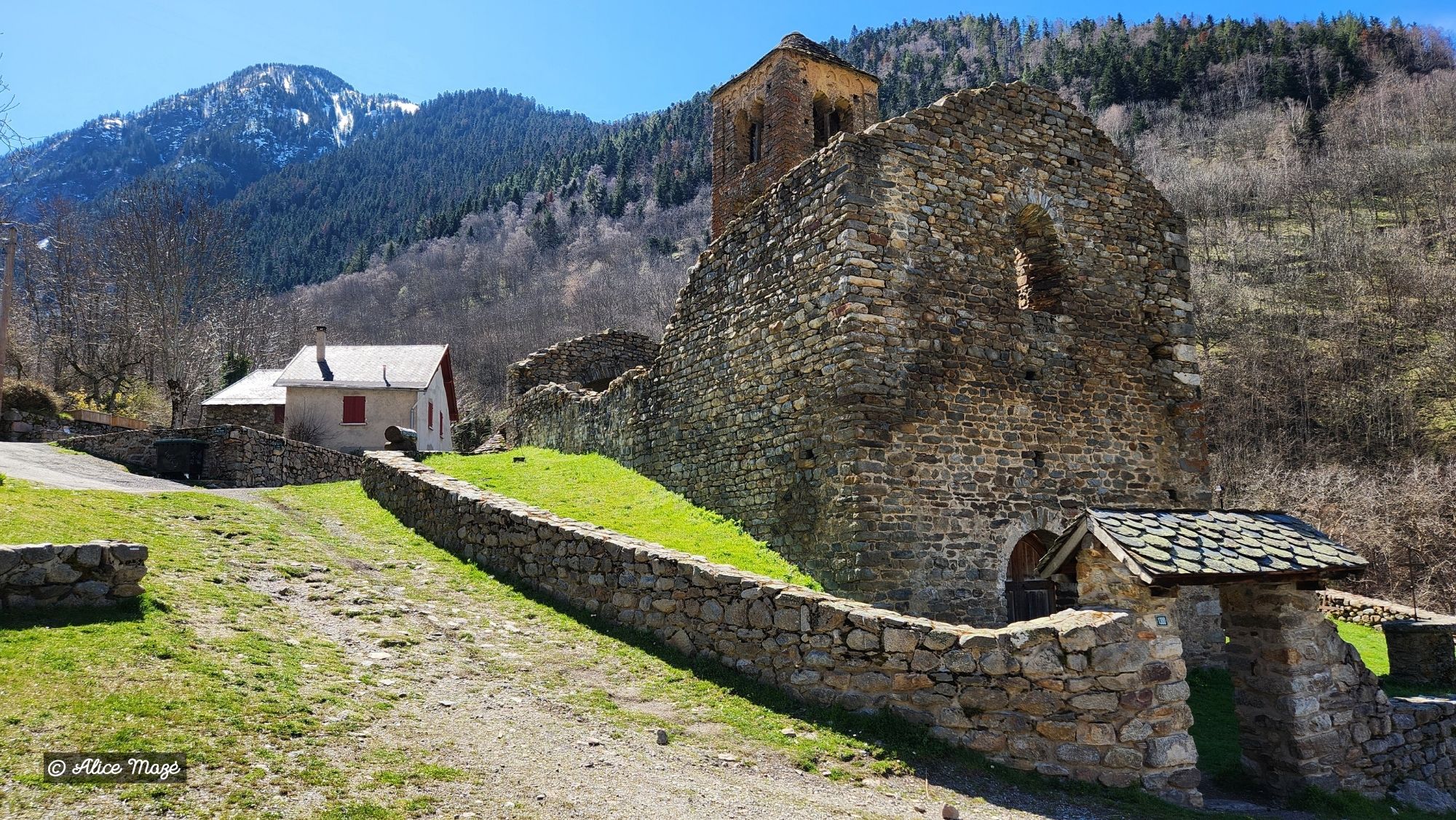 Pyrenees-2026-10.jpg Pyrenees-2026-10.jpg